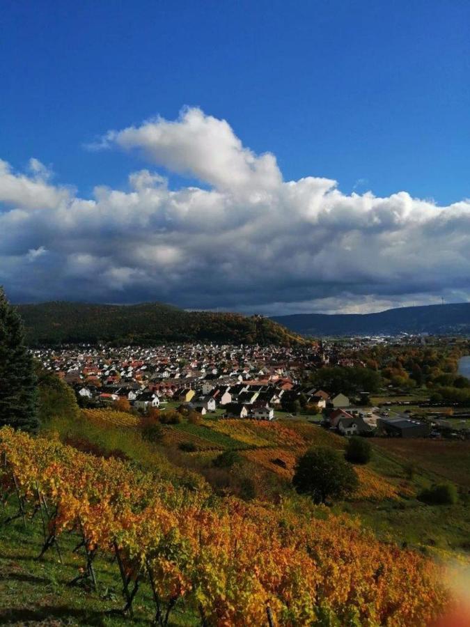 Ferienwohnung Familie Buchner Großheubach Buitenkant foto
