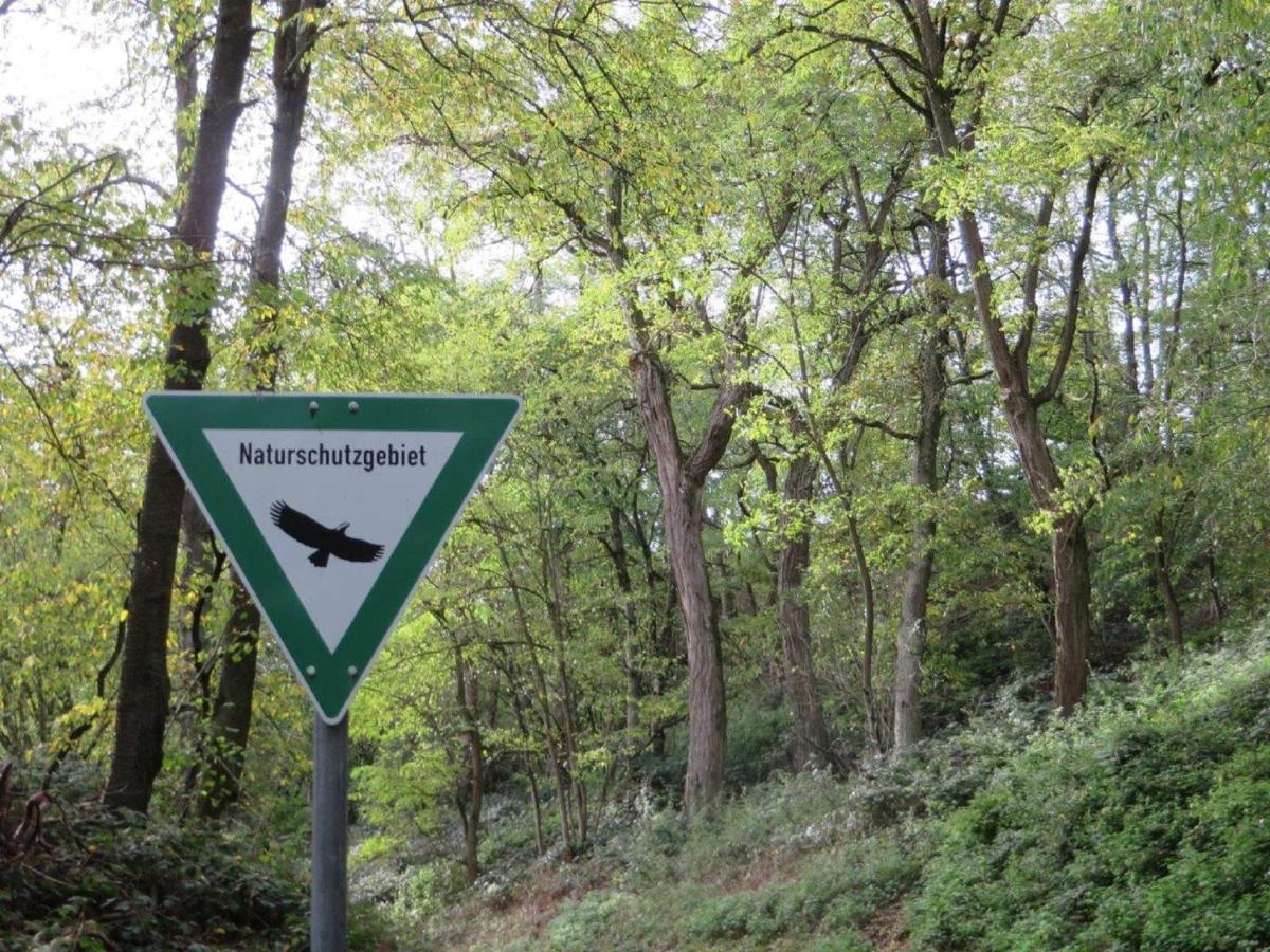 Ferienwohnung Familie Buchner Großheubach Buitenkant foto